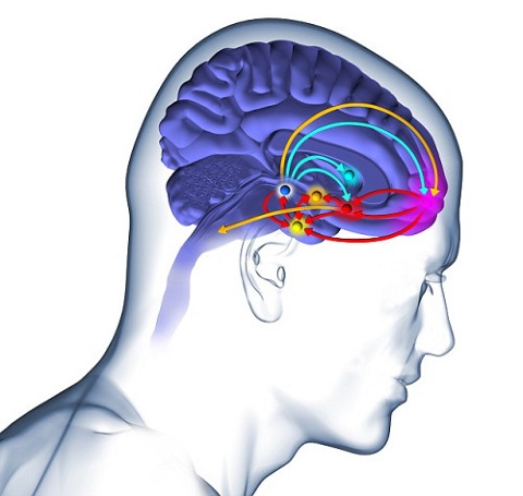 深入了解脑肿瘤病因及症状 