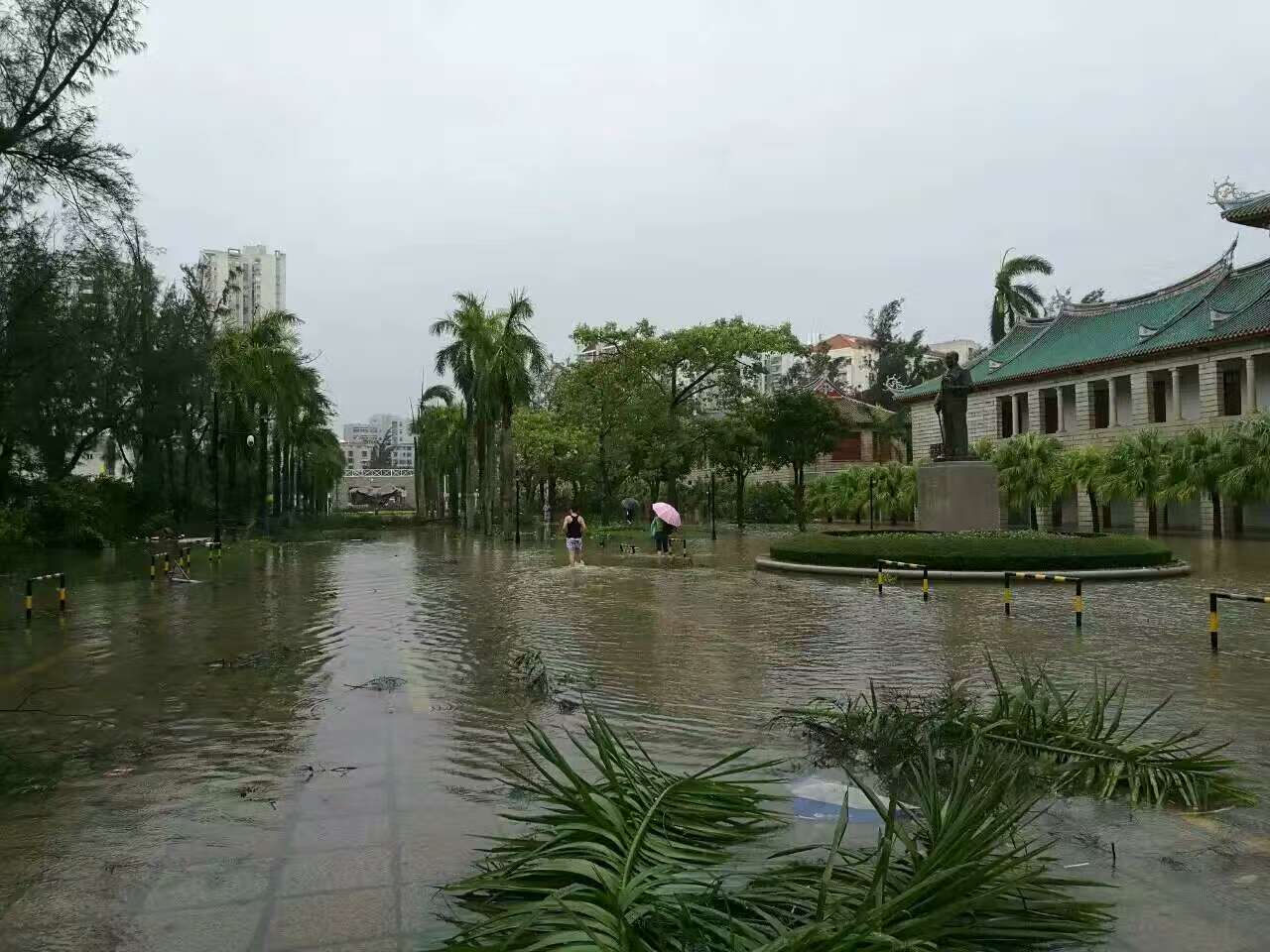 台风 “莫兰蒂” 袭击福建厦门 