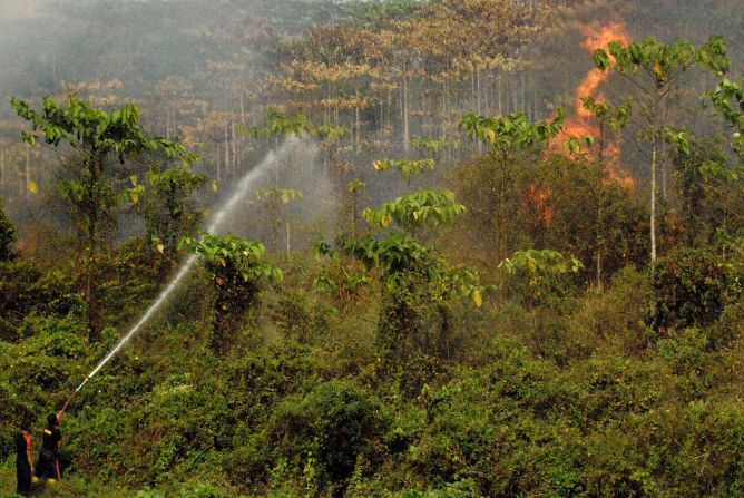 我国将与其他国家合作加强森林大火检测