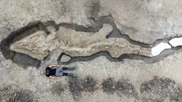 英国拉特兰水域附近发现最大鱼龙化石     生活在1.8亿年前 