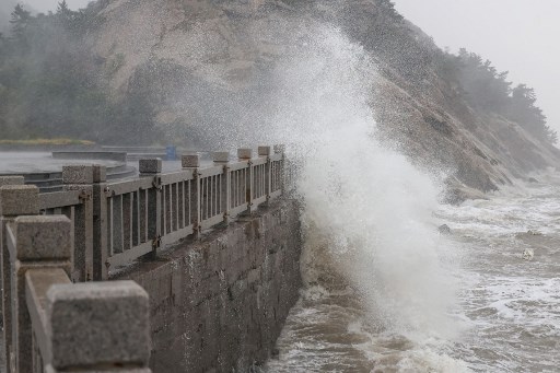 台风“梅花”登录当局发布红色预警，上海航线暂停运行