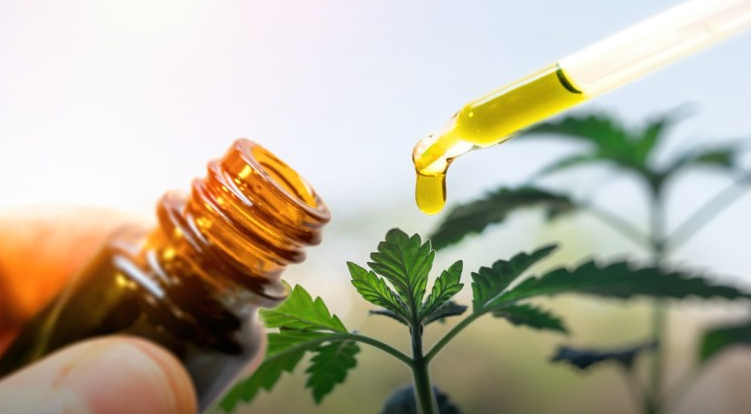 2月1日起香港将大麻二酚列为危险药物 