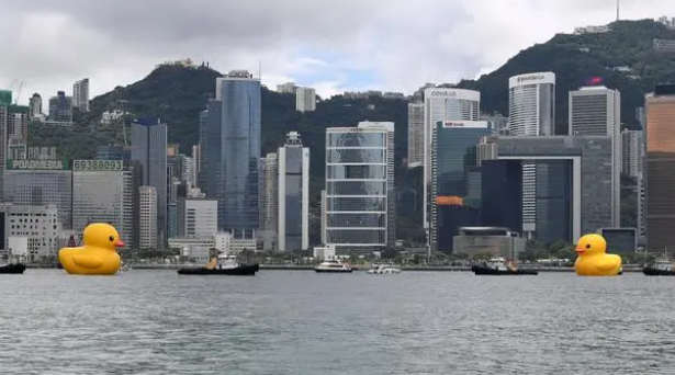 时隔十年，“大黄鸭”游回香港