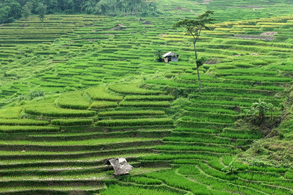 农业部加强抽水工作提高农业生产力