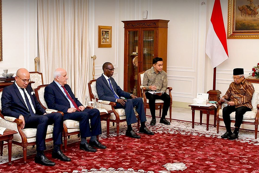 马鲁夫会见联合国CEIRPP代表团