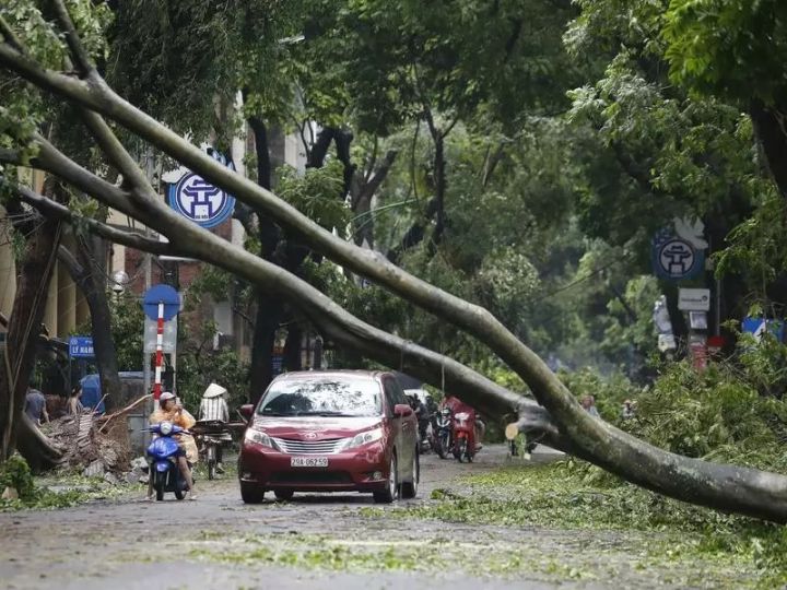 台风“摩羯”侵袭越南，造成24人死亡 