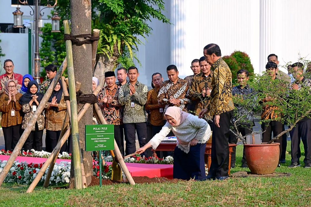 佐科威任期结束前在总统府种树 