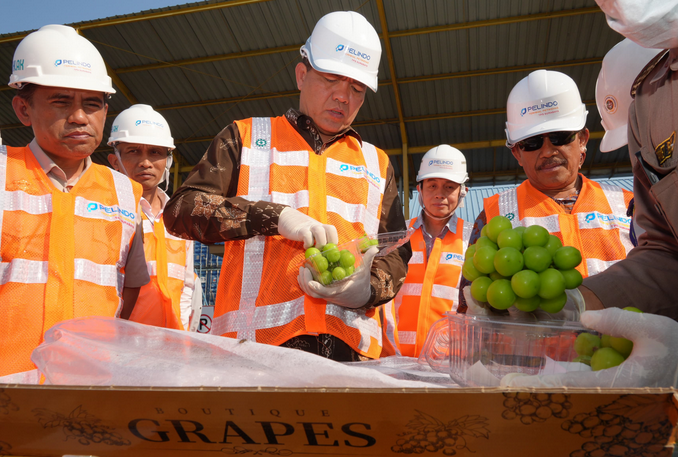 检疫机构对丹绒北腊港进口动植物产品进行检验 
