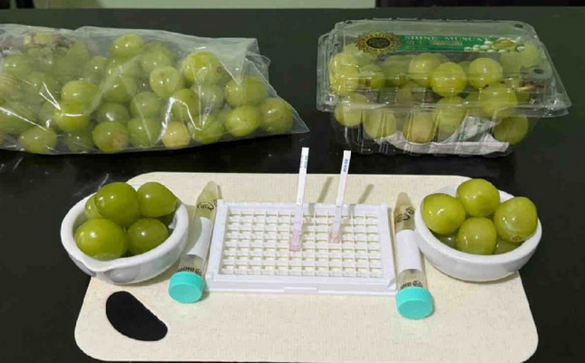 国家粮食局 ：快速检测显示阳光玫瑰葡萄可安全食用 