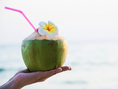 嫩椰子肉对健康的好处 