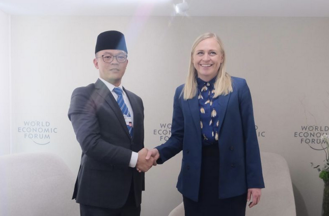 外长苏吉约诺与芬兰外长瓦尔托宁举行会谈 