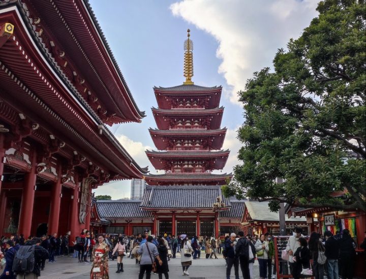 日本爆发最严重流感疫情，建议游客推迟旅行 