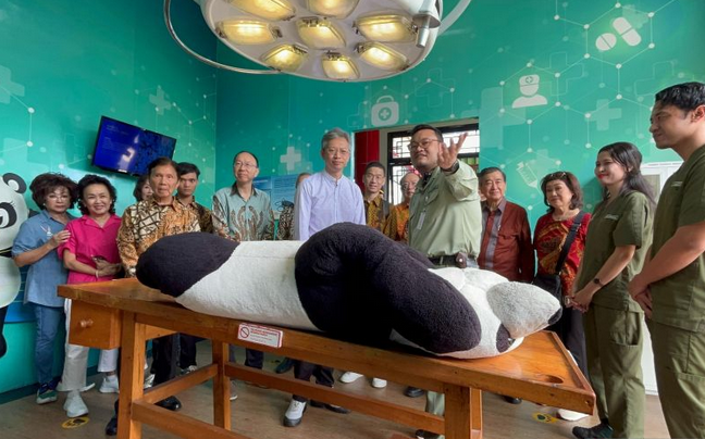 王鲁彤大使探访茂物野生动物园大熊猫“彩陶”与“胡春”