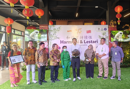 印尼政府提议中印尼熊猫外交合作协议延长十年