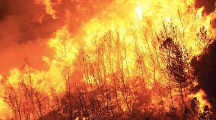 日本山火持续，过火面积已达2100公顷 