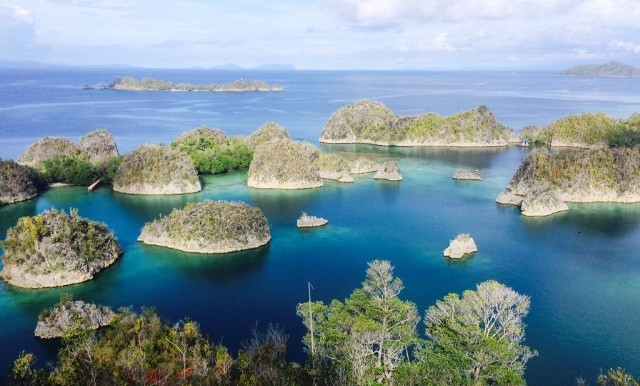 四王群岛四家镍业采矿许可被撤销：绿色和平要求进行永久保护