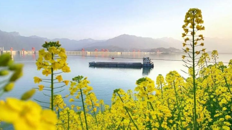 长江游轮打造沉浸式文化体验，吸引国际游客 