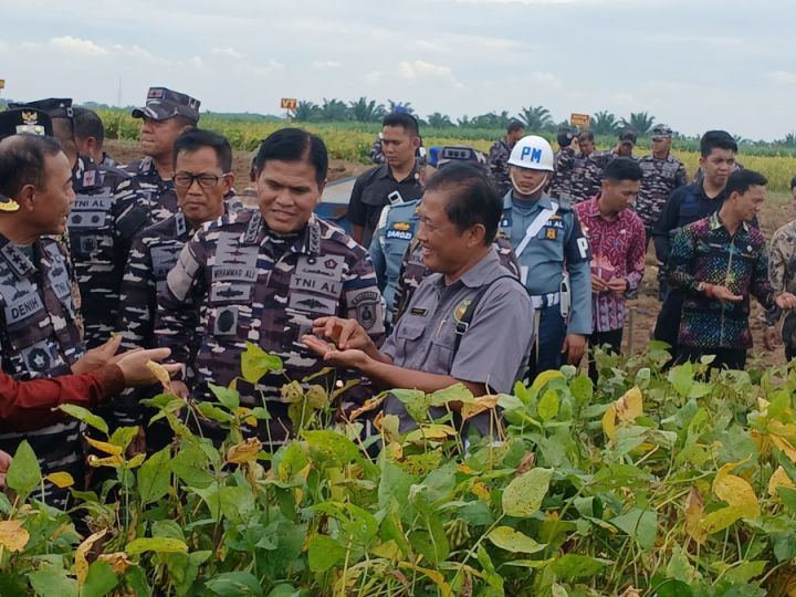 国防与农业部长出席楠榜省大豆丰收活动