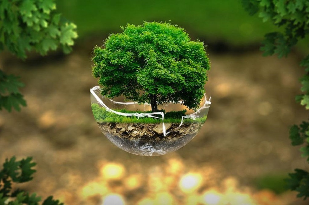 印尼在COP30发布蓝碳路线图与行动指南 