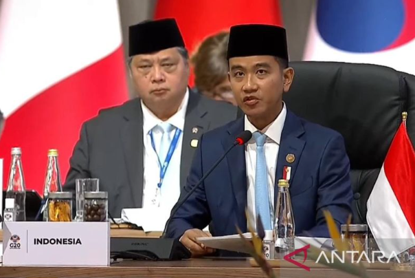 吉布兰强调尊重多元发展战略