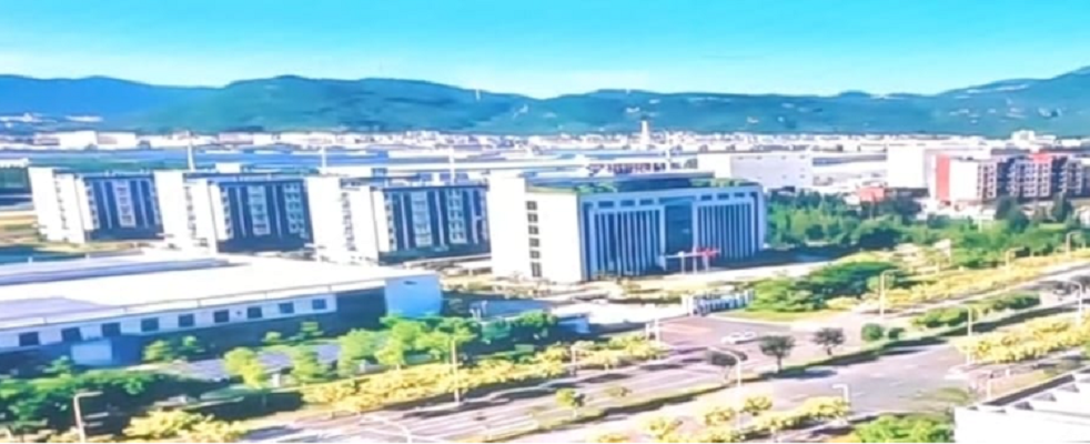 2025中国东盟周：东盟嘉宾参访福州重点企业及中印尼两国双园  