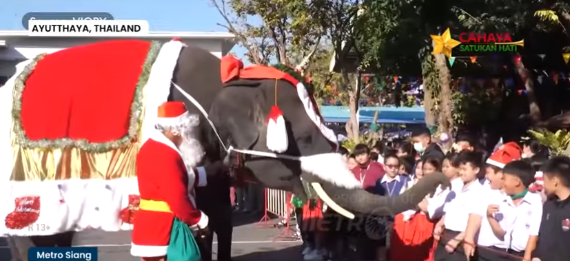 五头“大象圣诞老人”曼谷小学起舞     孩子欢笑迎圣诞
