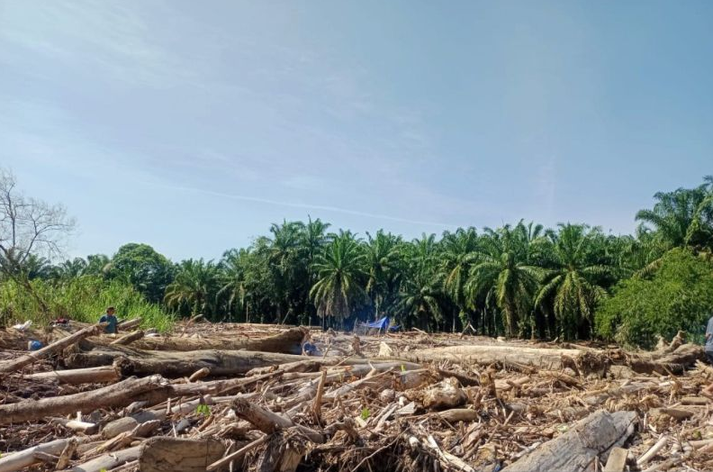 林业部继续清理亚齐和北苏门答腊洪灾遗留木材