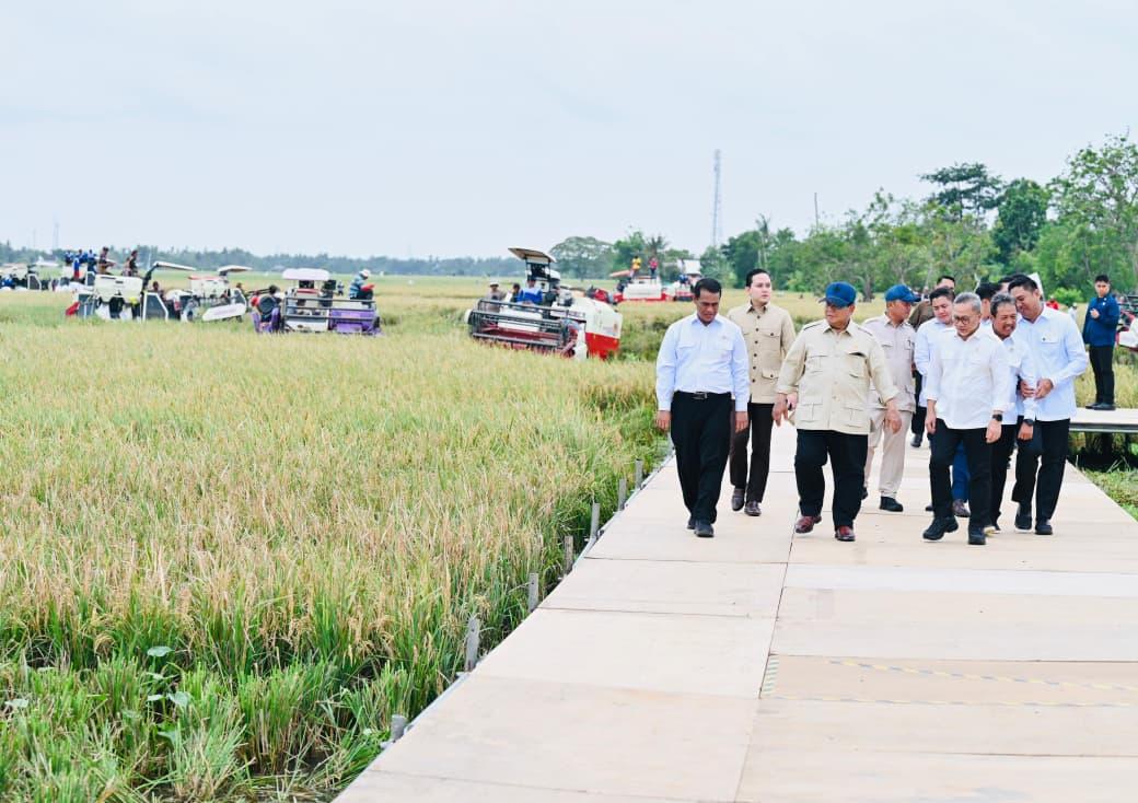 2025年粮食自给自足：我国粮食独立的重要历史里程碑