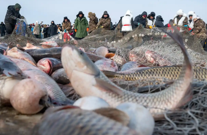 黑龙江兴凯湖冬捕节吸引大量游客参与