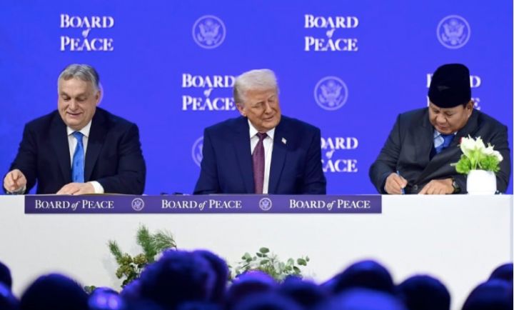 特朗普“和平委员会”席位需付10亿美元，外交部回应