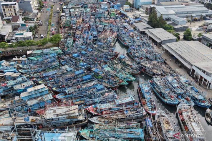 海洋渔业部长视察穆阿拉安格港船只积压