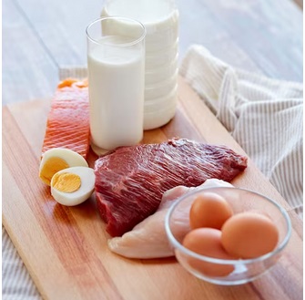 研究：高蛋白饮食对健康肾脏相对安全