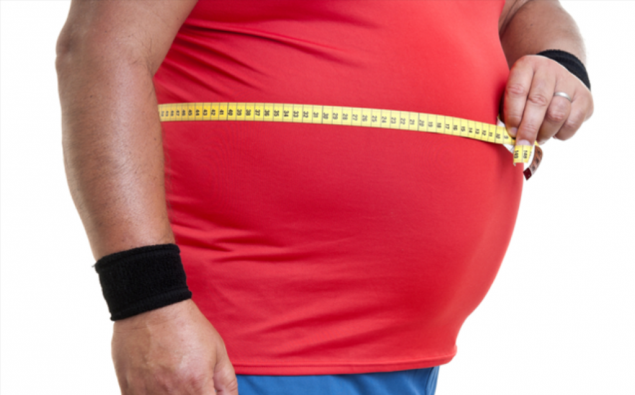 肥胖不仅由饮食过量和缺乏运动引起