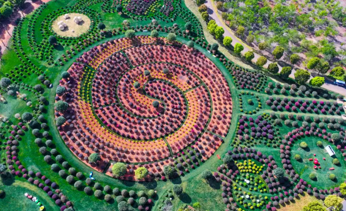 云南弥勒太平湖森林公园“糖果状”景观走红