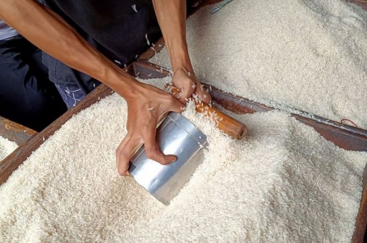 国内大米储备足以应对地缘政治及厄尔尼诺影响