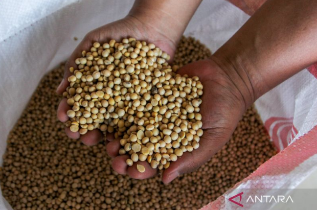 进口大豆价上涨，天贝生产商吁政府加强本地大豆生产