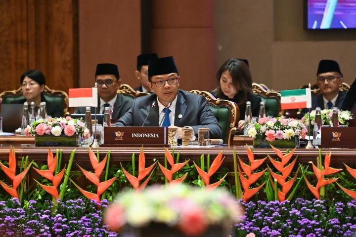 苏吉约诺出金砖国家外长会议