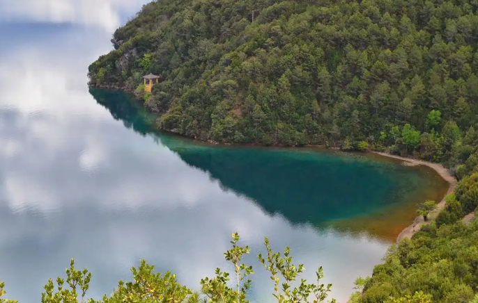 初夏限定美景 云南湖泊景区蓝花楹绽放