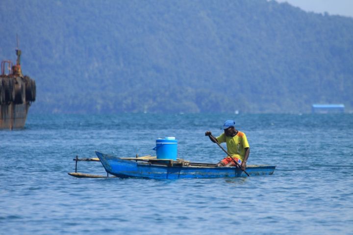 全球6月海温破历史纪录    海洋生态面临严峻挑战 