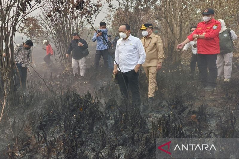中加里曼丹山火烟霾持续：林业部长视察灾情加强防范