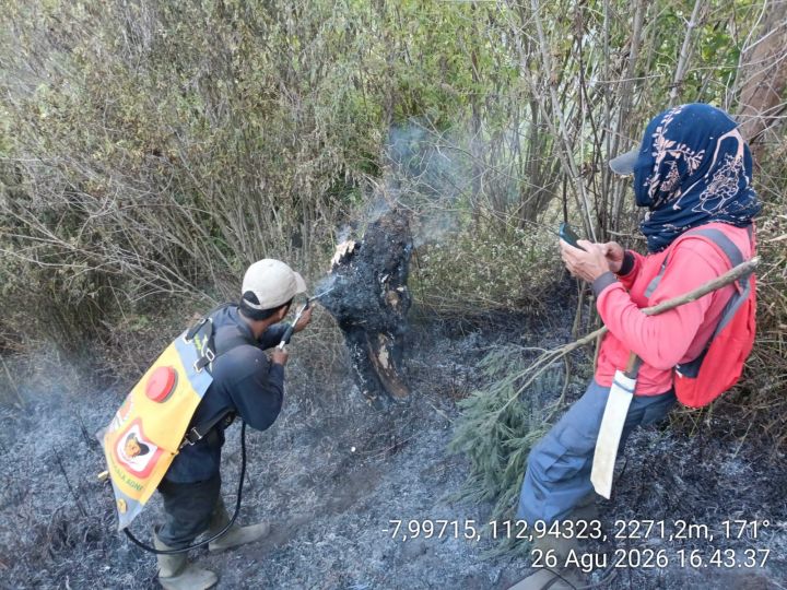 塞梅鲁火山发生森林火灾　  170名登山者安全撤离