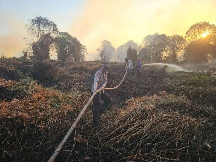 警方加里曼丹多地逮捕涉森林火灾嫌疑人 