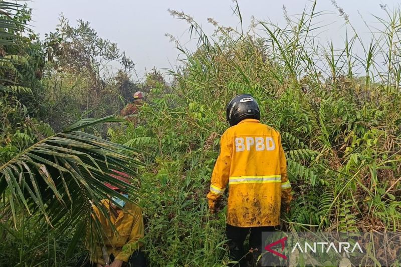 森林陆地火灾扩大　中加里曼丹省宣布进入紧急响应状态 