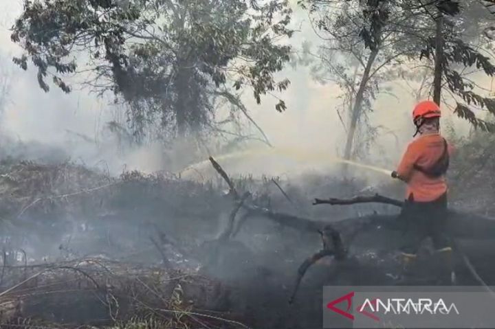 中加里曼丹森林火灾浓烟加剧   巴朗卡拉亚天空染成橙红色 