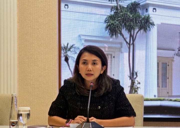 印尼谴责以色列歧视印尼籍飞行员 