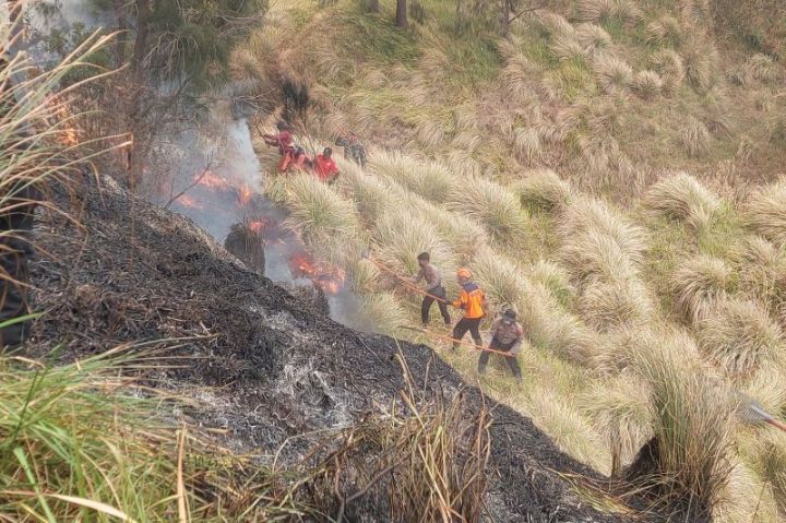 布罗莫火山森林火灾致3人死亡 