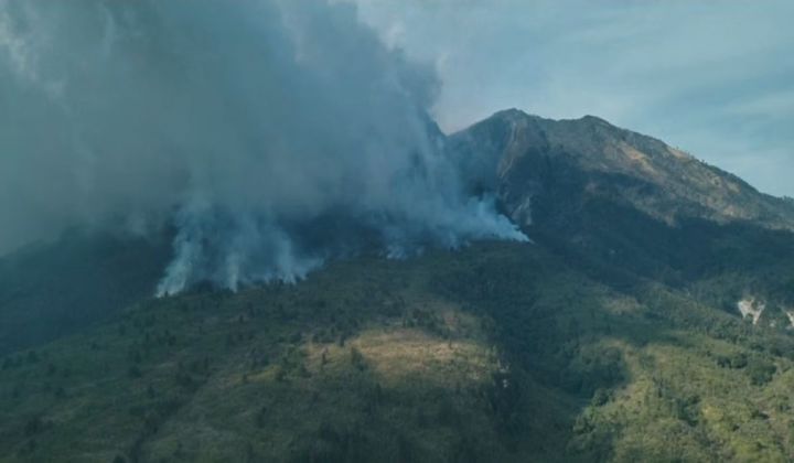 中爪哇拉乌山林火蔓延约490公顷 
