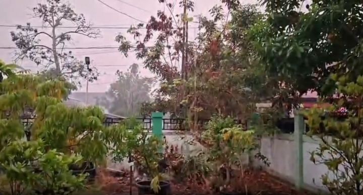 中加里曼丹迎降雨   林火烟霾减弱空气质量改善 